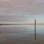 LakeWairarapa-crop