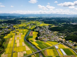 landscape with urban and rural